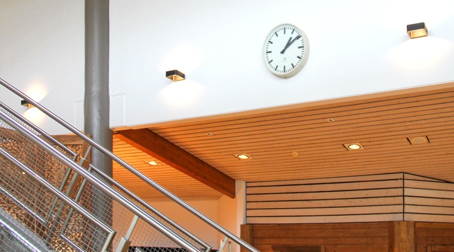 Sauna Welness GochNess