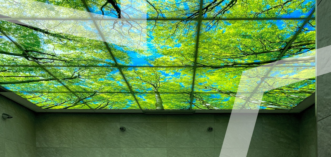 GochNess Saune verbouwing