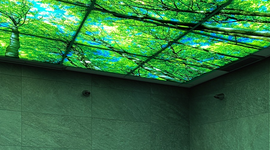 Project Sauna Gochness