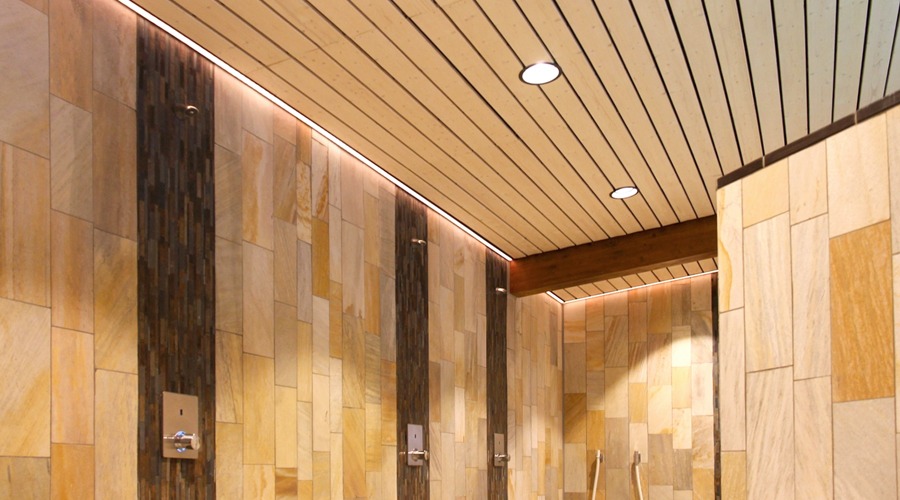 Project Sauna GochNess