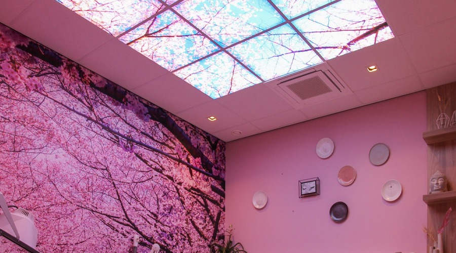 LED fotopanelen roze