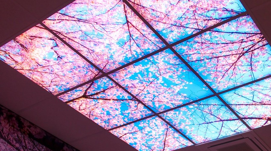 Fotopanelen roze en blauw