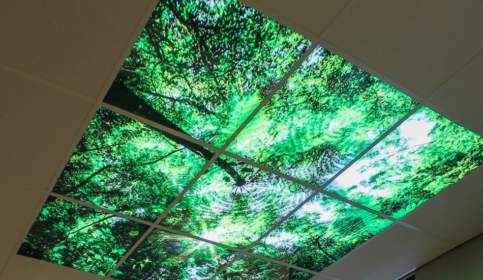 Fotopanelen groen
