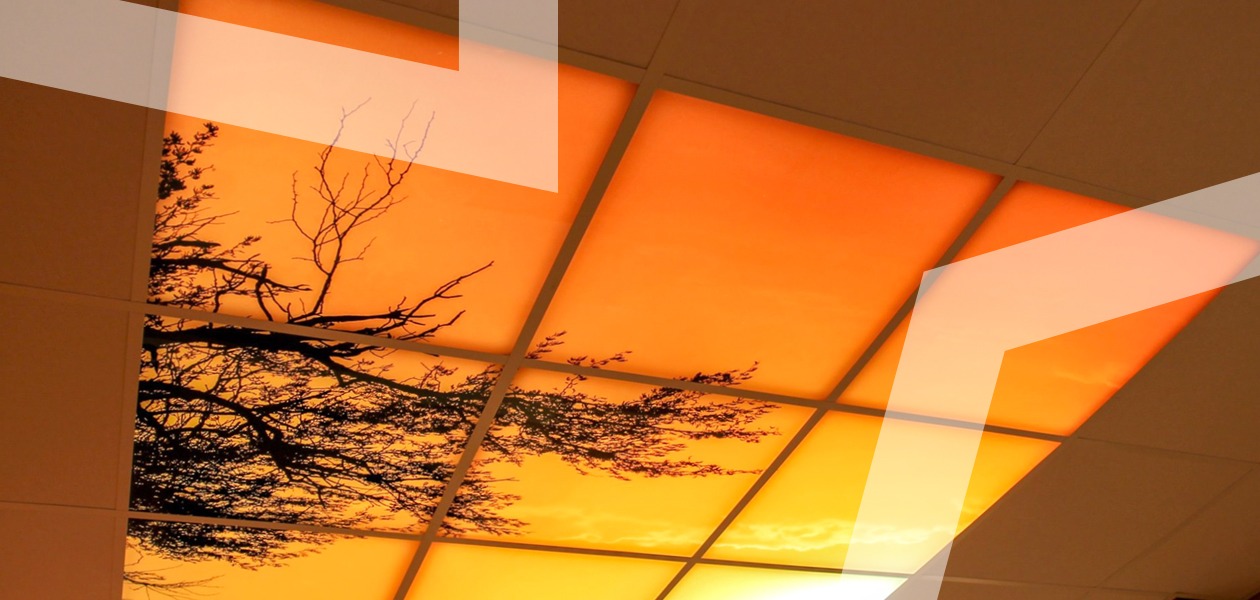 Project Skin Corner by Sharon