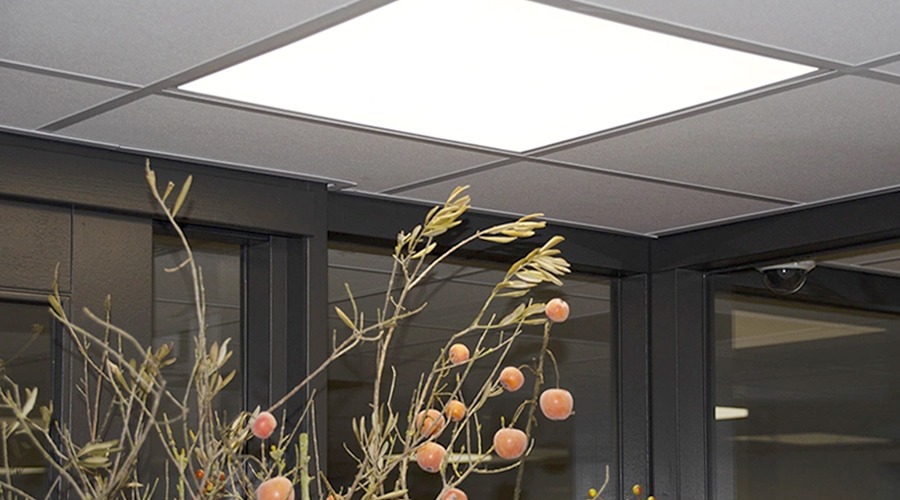 WSP verlichting LED paneel