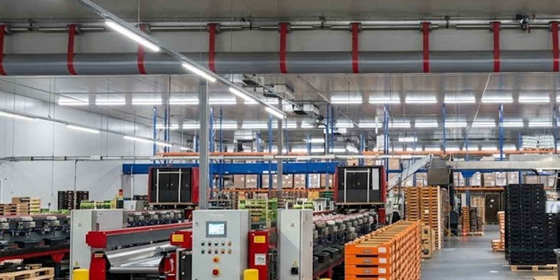 LED verlichting in de fruitindustrie